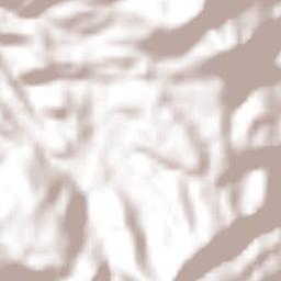 Tlanalapan Terrain Map