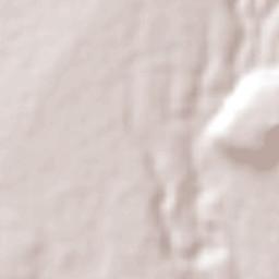 Buenavista Tomatlán Terrain Map