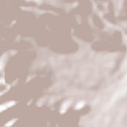 Los Cajones Terrain Map