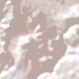 Loma Bonita Terrain Map