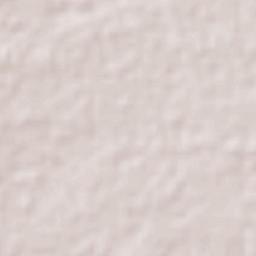 San Andrés Ocotlán Terrain Map