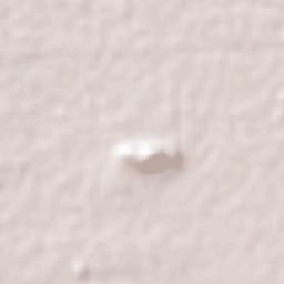 San Bartolito Tlaltelolco Terrain Map