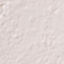 Zacatelco Terrain Map