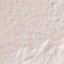 Zitlaltépec Terrain Map