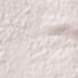 Nopalucan Terrain Map