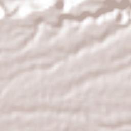 Acazónica Terrain Map