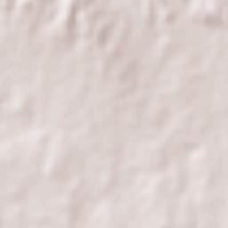 Delfino Victoria (Santa Fe) Terrain Map