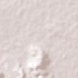 Concepción de La Vega Terrain Map