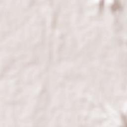 Dombivli Terrain Map