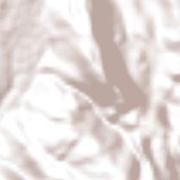 Huizaches Terrain Map