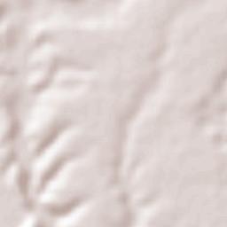 Felipe Carrillo Puerto Terrain Map