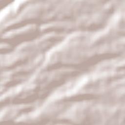 Zaragoza de Guadalupe Terrain Map