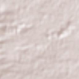 Calimaya Terrain Map