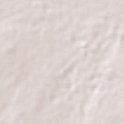 San Miguel Xoxtla Terrain Map