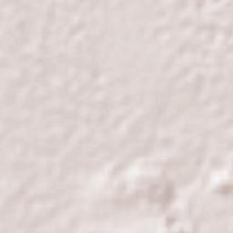 Xicohtzinco Terrain Map