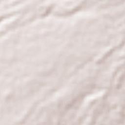 San Isidro Buen Suceso Terrain Map