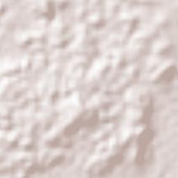 Maya Tecún I Terrain Map