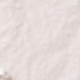 Dhawalpuri Terrain Map