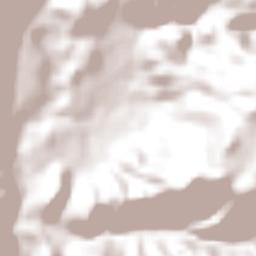 El Agostadero Terrain Map