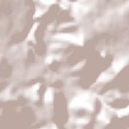 Pedernales Terrain Map