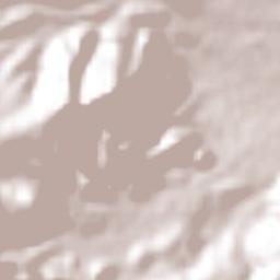 San Francisco Putla Terrain Map