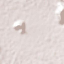 La Colonia Terrain Map