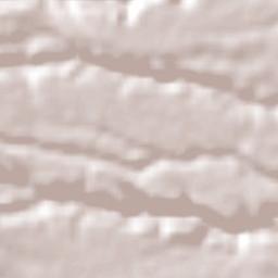 Domingo Arenas Terrain Map