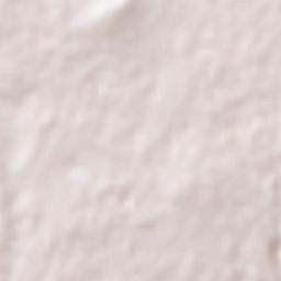 San Francisco Ocotlán Terrain Map