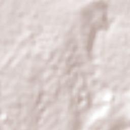 Almecatla Terrain Map