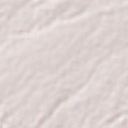 Villa Vicente Guerrero Terrain Map