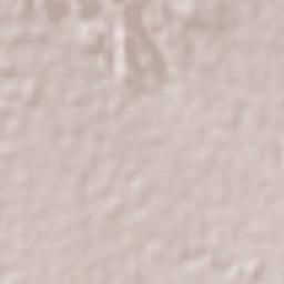 San Juan Tepulco Terrain Map