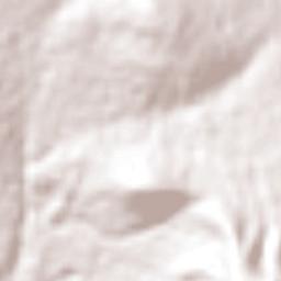 Libertad Álvaro Obregón Terrain Map