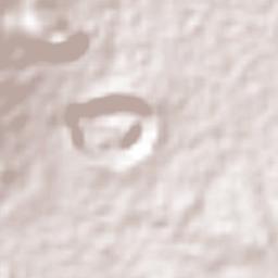 San Miguel Tecuitlapa Terrain Map