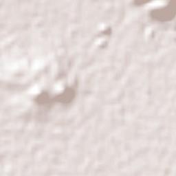 José María Morelos Terrain Map