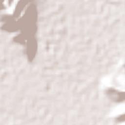 Lázaro Cárdenas Terrain Map