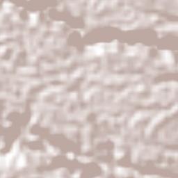 Colonia Manuel González Terrain Map