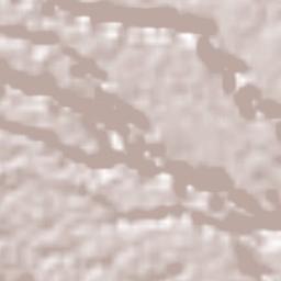 Chavaxtla Terrain Map