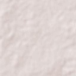 Mata Loma Terrain Map