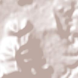 Los Tepames Terrain Map