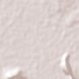 Cenobio Moreno Terrain Map