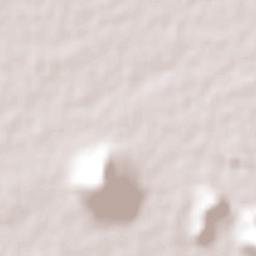 Presa del Rosario Terrain Map