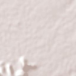 Apatzingán Terrain Map