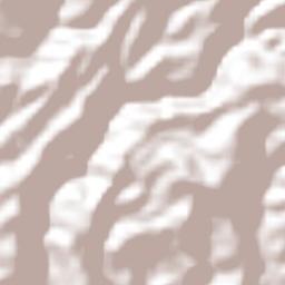 Temascaltepec Terrain Map