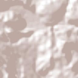 Santa Cruz Pueblo Nuevo (Pueblo Nuevo) Terrain Map