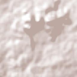 San Matías Cuijingo Terrain Map