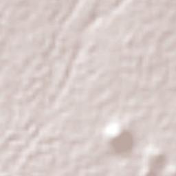 Concepción Capulac (La Ex-Hacienda) Terrain Map