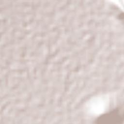 Apango de Zaragoza Terrain Map