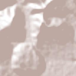 San Pedro la Joya Terrain Map