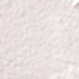 Manuel Edgardo Ávalos (San Isidro) Terrain Map