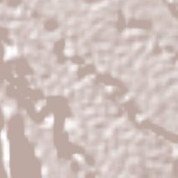 Tepatlaxco Terrain Map